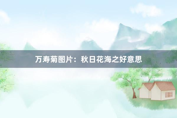 万寿菊图片：秋日花海之好意思