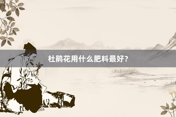杜鹃花用什么肥料最好？