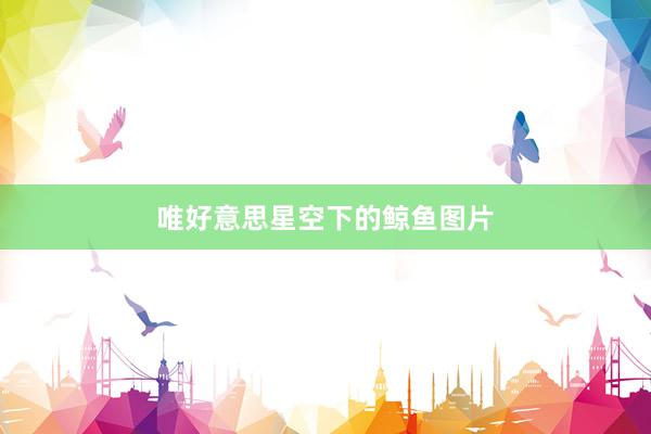 唯好意思星空下的鲸鱼图片