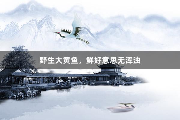 野生大黄鱼，鲜好意思无浑浊